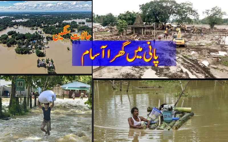 آسام میں سیلاب کا قہر، 95 جانیں گئیں،1.6 لاکھ افراد متاثر،آسام کے 14 اضلاع ہائی الرٹ
